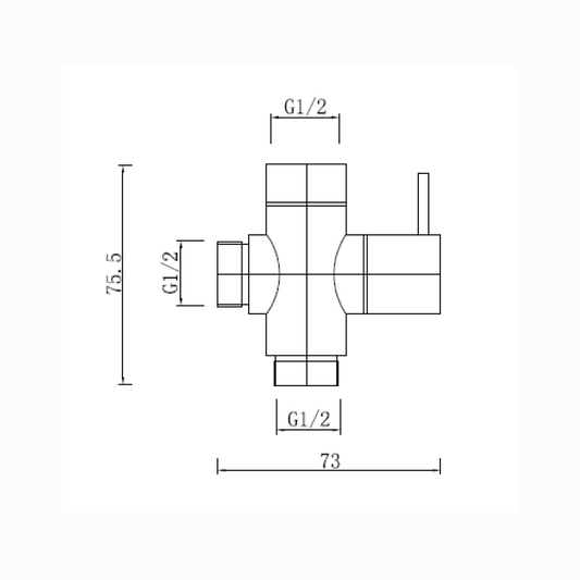 Brushed Brass Bidet Diverter