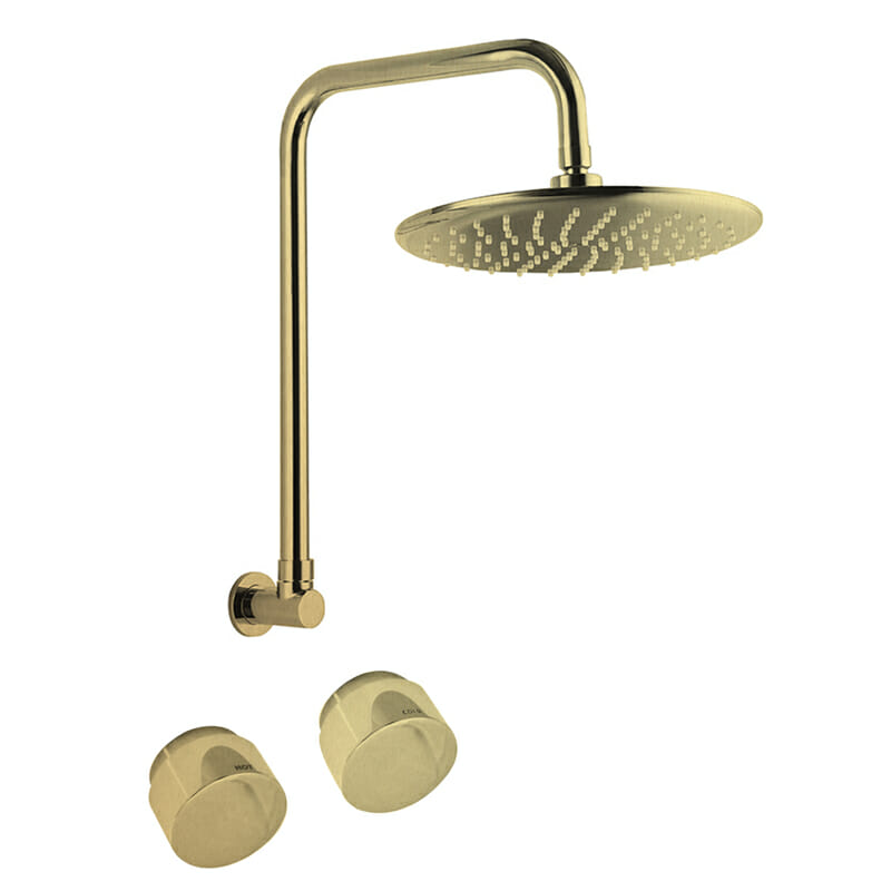 Loui Brushed Gold Gooseneck Shower Set