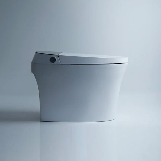 Smart Toilet