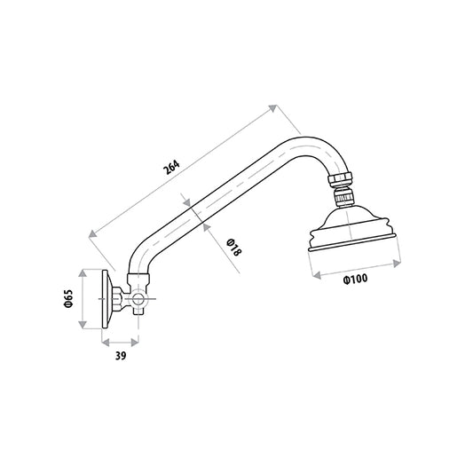 All Directional Gooseneck Shower - Chrome