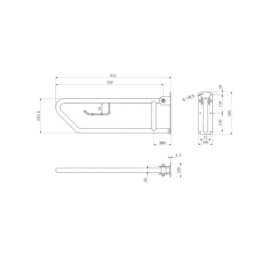 Click- Lock Drop Down Grab Rail with Toilet Roll Holder, Polished Stainless Steel