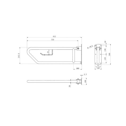 Click- Lock Drop Down Grab Rail with Toilet Roll Holder, Satin Stainless Steel