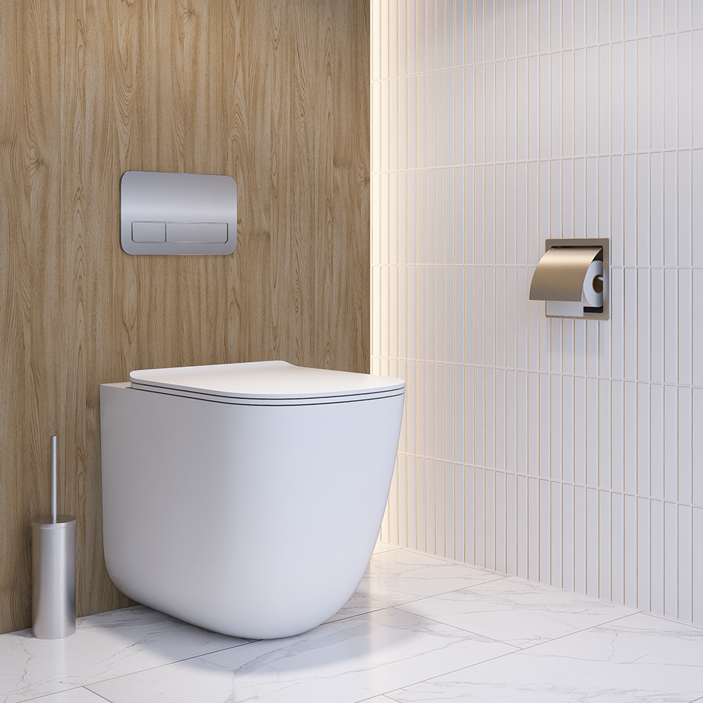 Recessed Single Roll Toilet Roll Holder with Hood SS