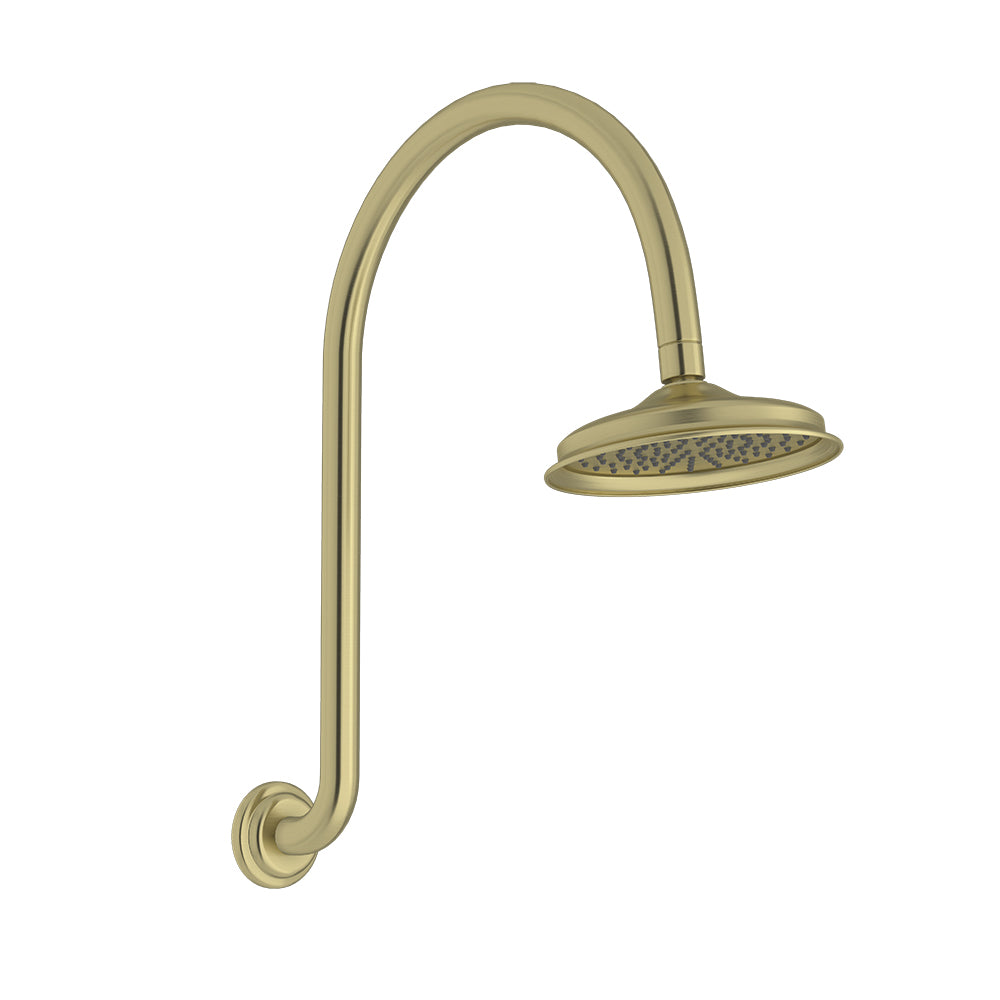 Augustine Shower Head & Arm - PVD Gold