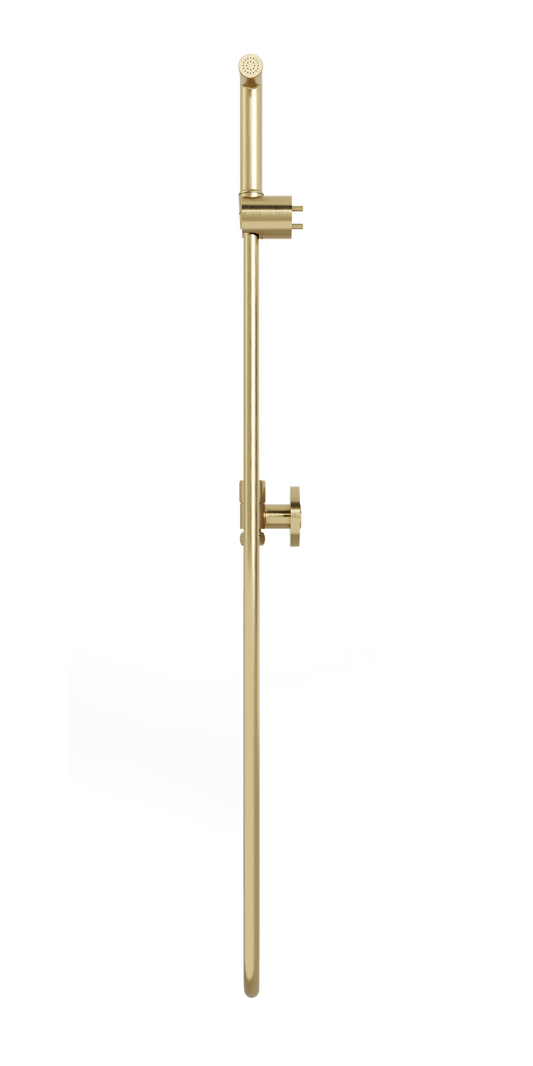 Zarah Bidet/Douche Spray with Dual Controller - Brushed Brass