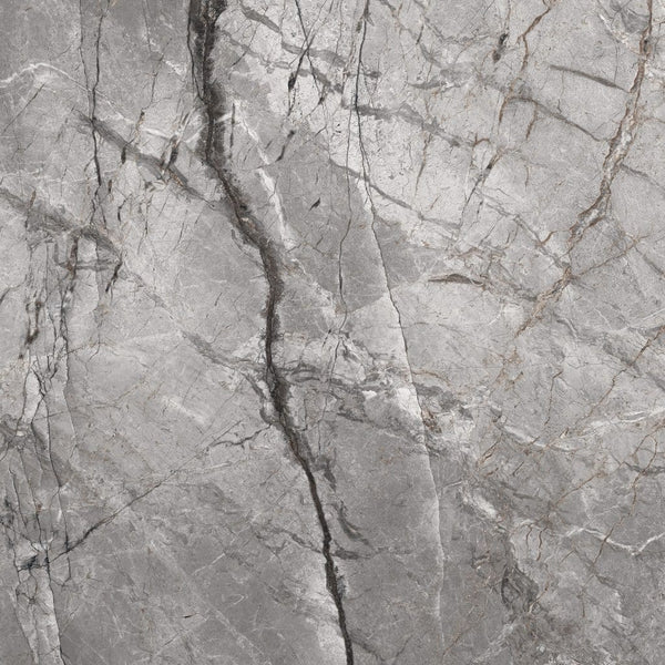 Silver Root Light Grey