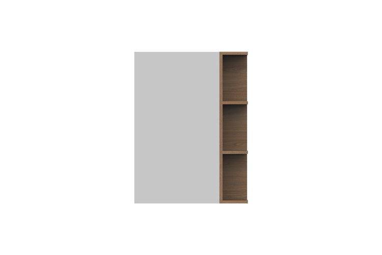 Glacier Pro Shelf Mirror Cab 600 1D S