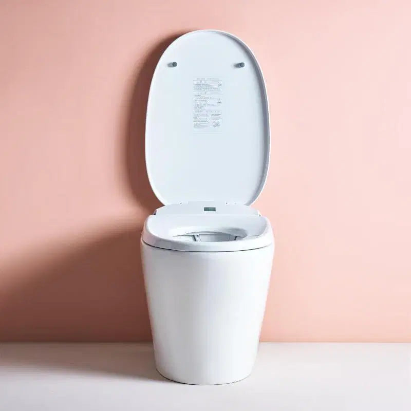 Smart Toilet - Cover Sensing - Male/Female Cleaning