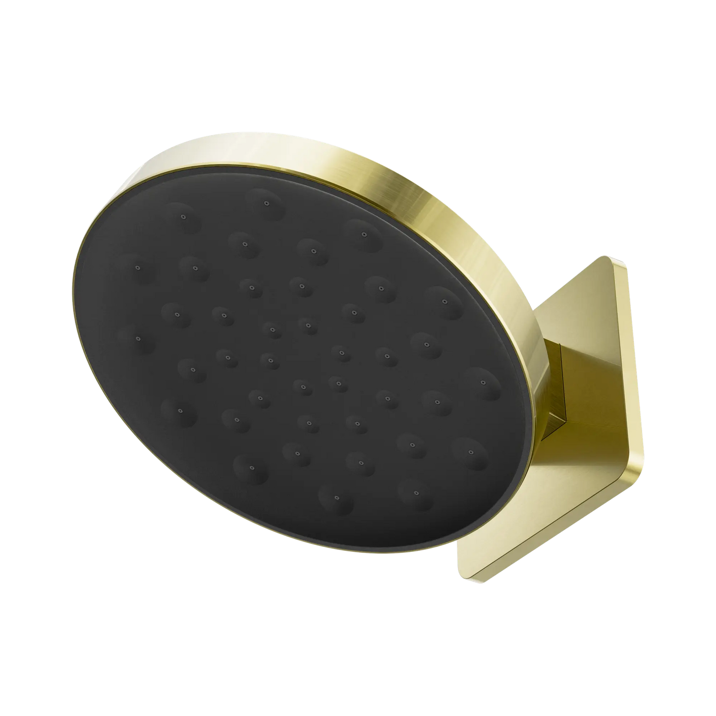 Serenity Wall Shower Head Brushed Gold