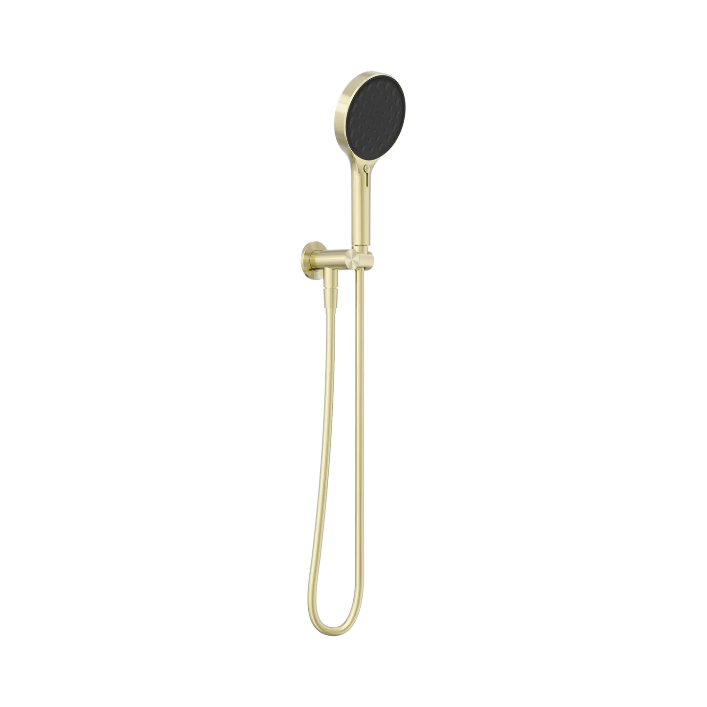 Serenity Hand Held Shower Brushed Gold