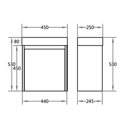 PVC Wall Hung Vanity with Poly Top - Left Hand Hinge, 450*250*525mm, Gloss White