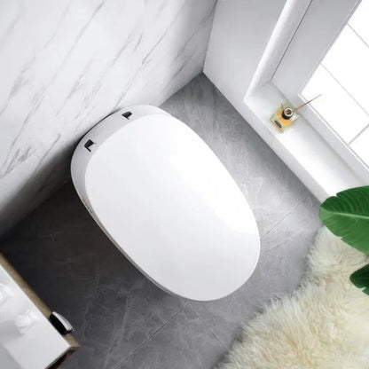 Smart Toilet - Cover Sensing - Male/Female Cleaning