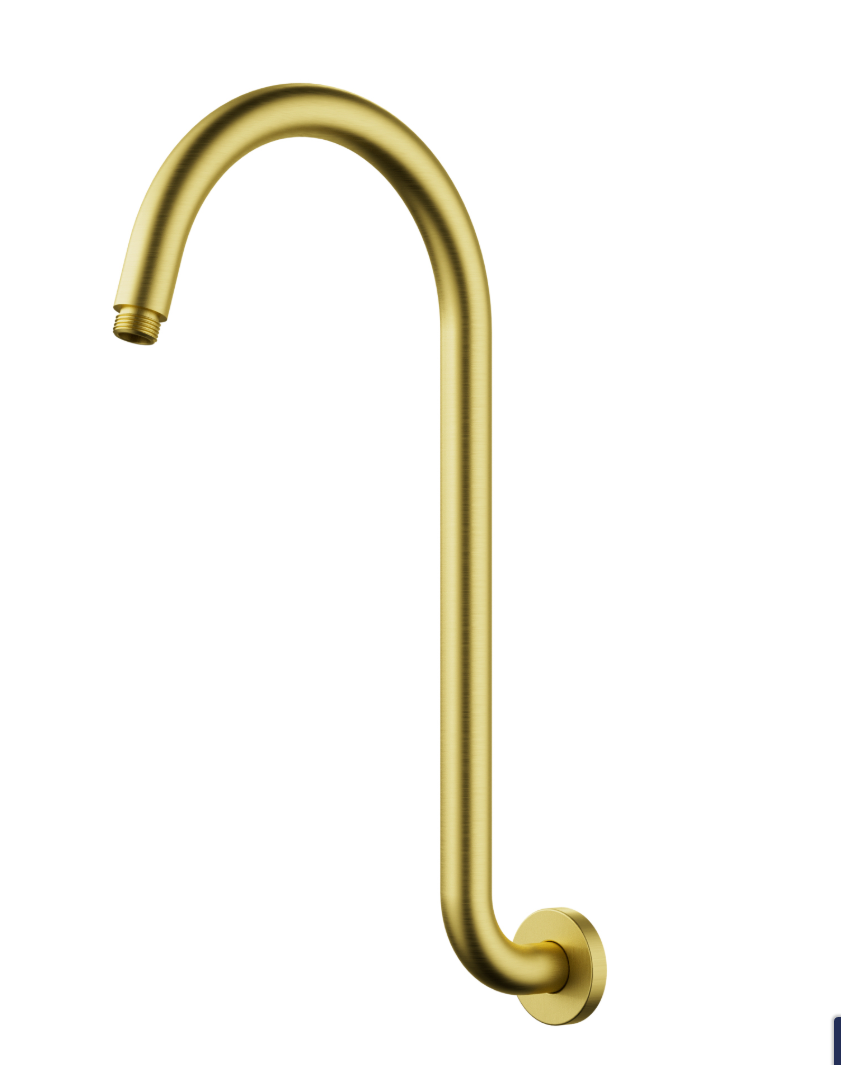 Clasico Gooseneck  Shower Arm Brushed Gold