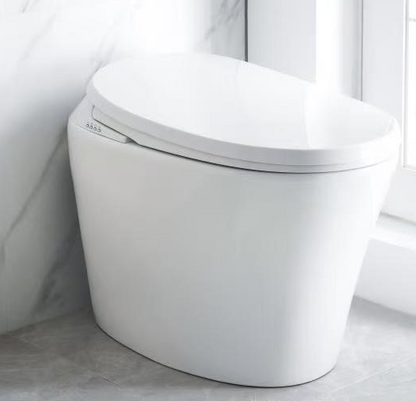 Smart Toilet - Cover Sensing - Male/Female Cleaning