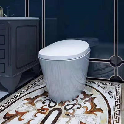 Smart Toilet - Cover Sensing - Male/Female Cleaning