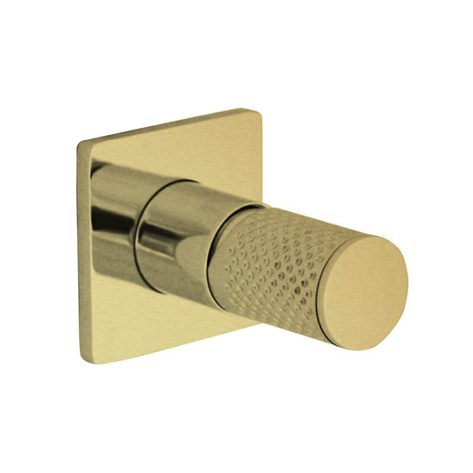 The GABE Wall Mixer - Brushed Gold
