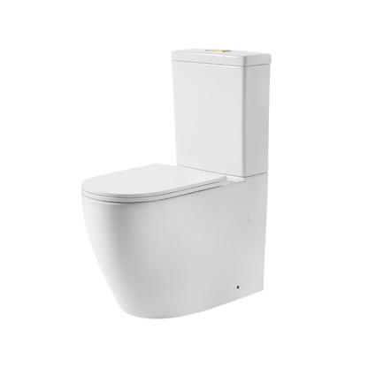 Ajax Back to Wall Rimless Toilet Suite - Brushed Brass