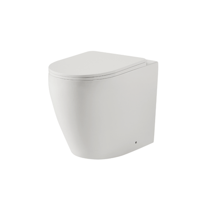 Ajax Rimless Wall Face Pan