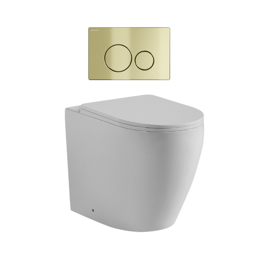 Ajax 80mm In Wall Toilet Set with Round Buttons - Brushed Brass