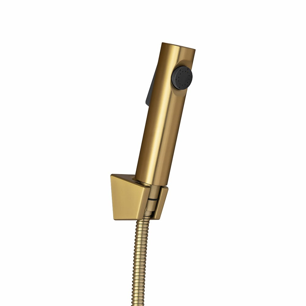 Round Brushed Brass ABS Toilet Bidet Spray Kit with Stainless Steel Hose