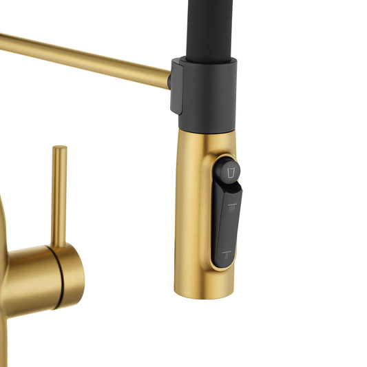Brushed Brass Pull Out Kitchen Mixer