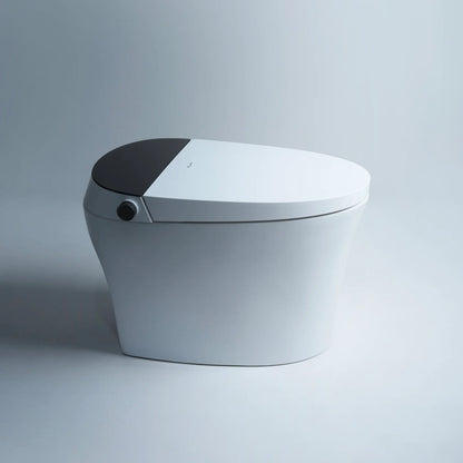 Smart Toilet