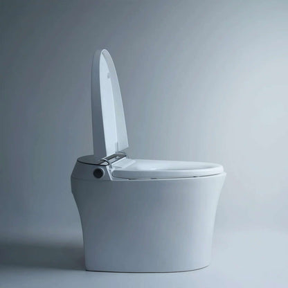 Smart Toilet