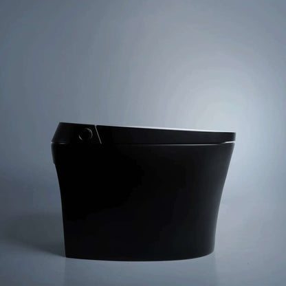 Smart Toilet