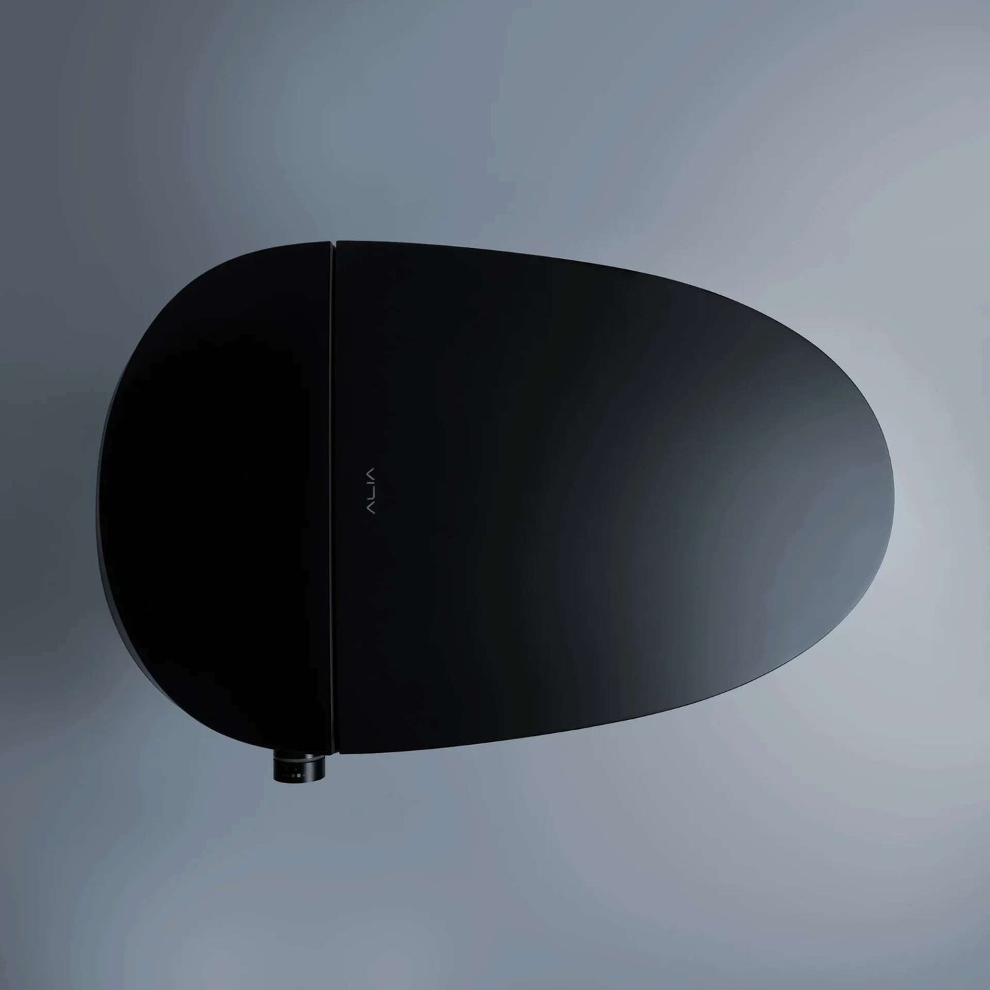 Smart Toilet