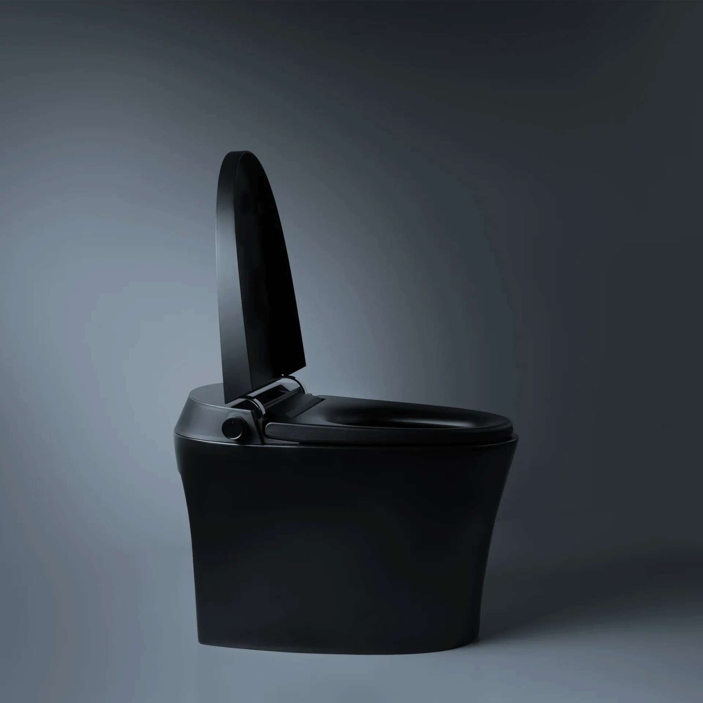 Smart Toilet