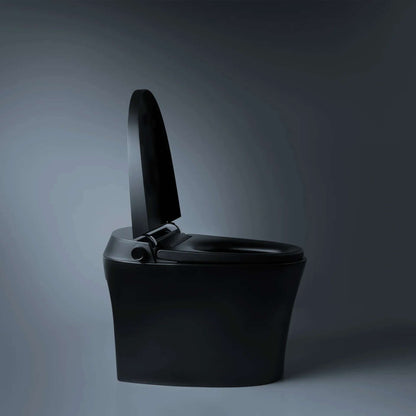 Smart Toilet