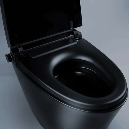 Smart Toilet