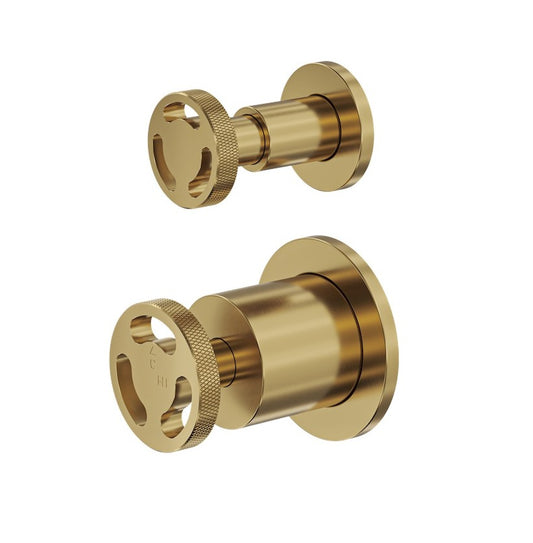 Dynamik 2-Plate Wall Mixer with Divertor - Brushed Brass
