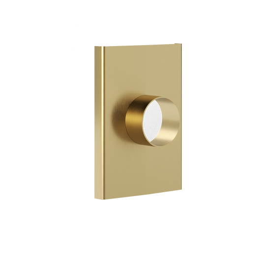 Ezyflow Series 24 50mm Outlet - Brushed Brass