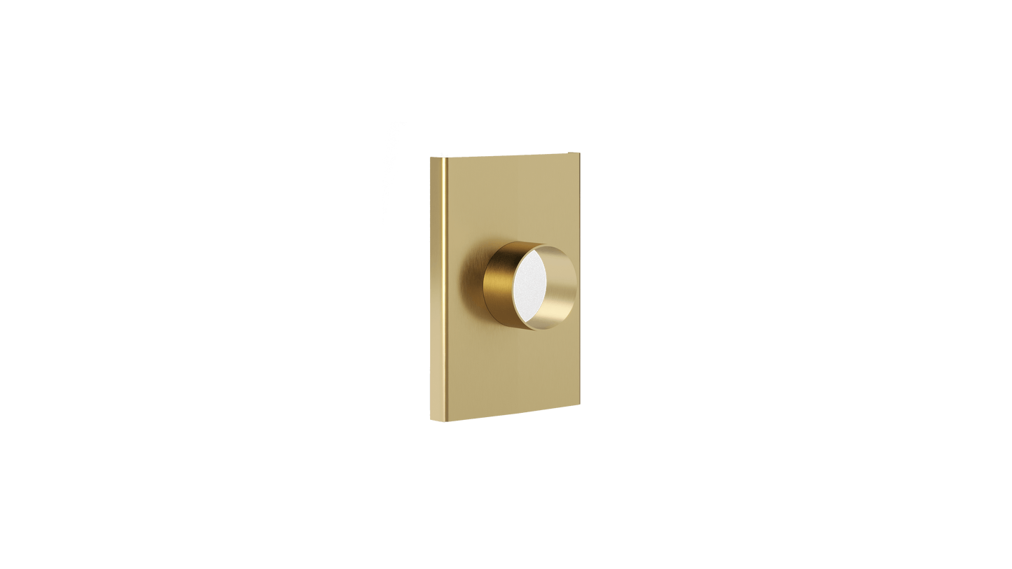 Ezyflow Series 24 50mm Outlet - Brushed Brass