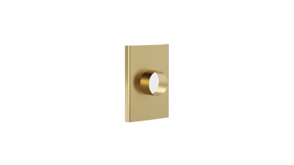 Ezyflow Series 24 50mm Outlet - Brushed Brass