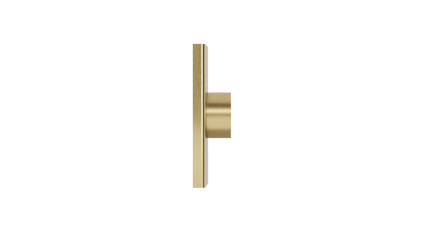 Ezyflow Series 24 50mm Outlet - Brushed Brass