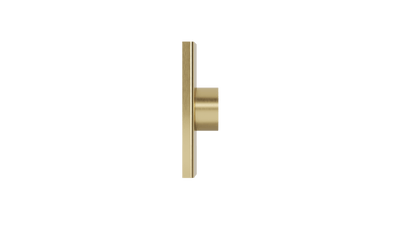 Ezyflow Series 24 50mm Outlet - Brushed Brass