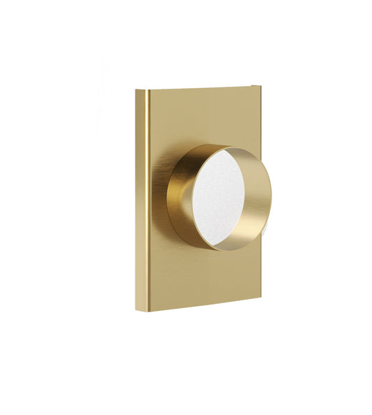 Ezyflow Series 24 70mm Outlet - Brushed Brass