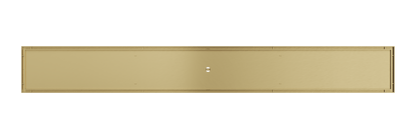 Ezyflow 800mm Tile Insert Linear Waste DN89 - Brushed Brass