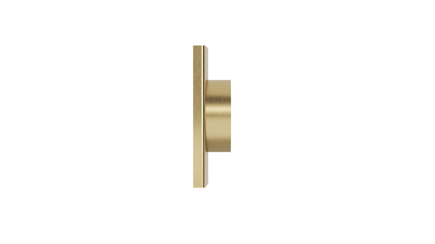Ezyflow Series 24 80mm Outlet - Brushed Brass
