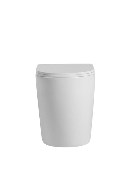 Quay S2 Rimless Wall Face Pan