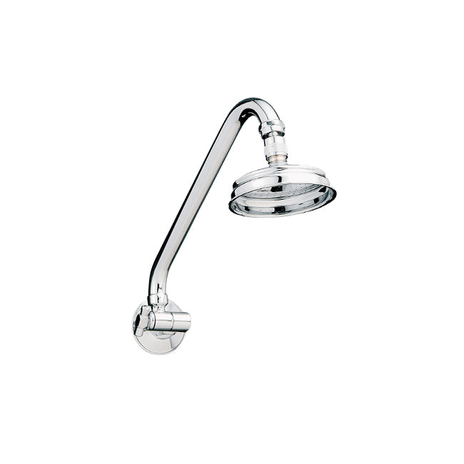 All Directional Gooseneck Shower - Chrome