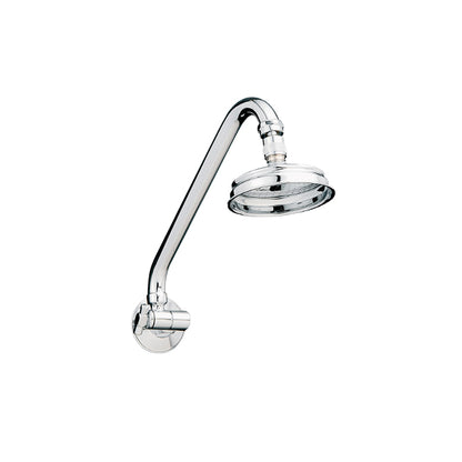All Directional Gooseneck Shower - Chrome