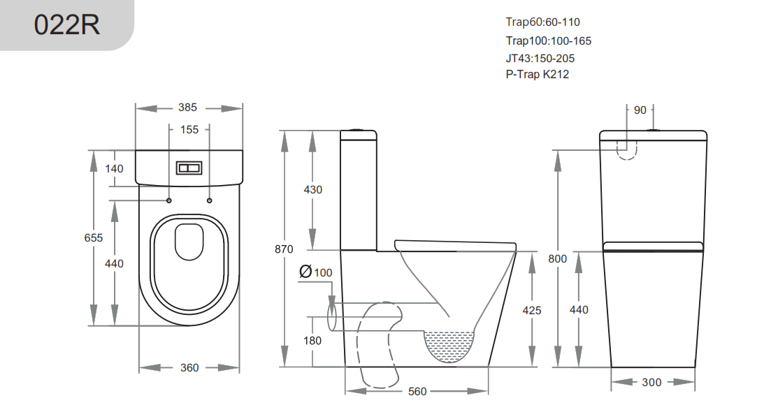 Avis Rimless Back-to-Wall Toilet Suite - Matte Black