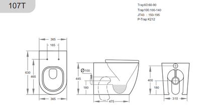 Elvera Tornado Rimless Special Care Toilet Suite - Gloss White