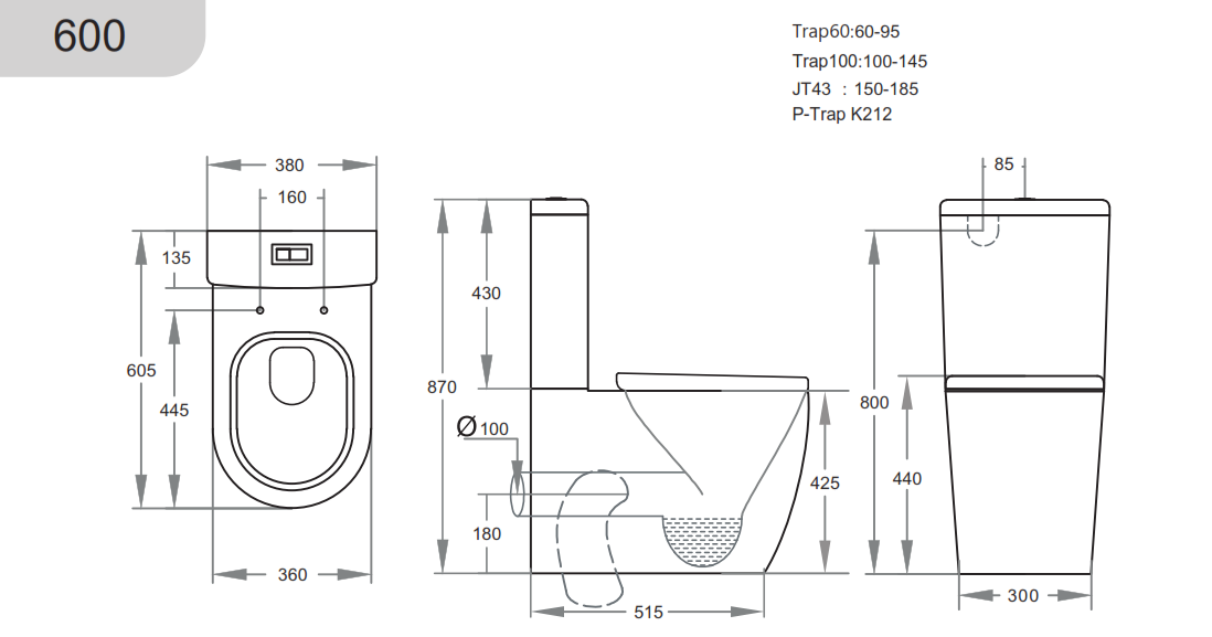 Avis Rimless Back-to-Wall Toilet Suite - Gloss White