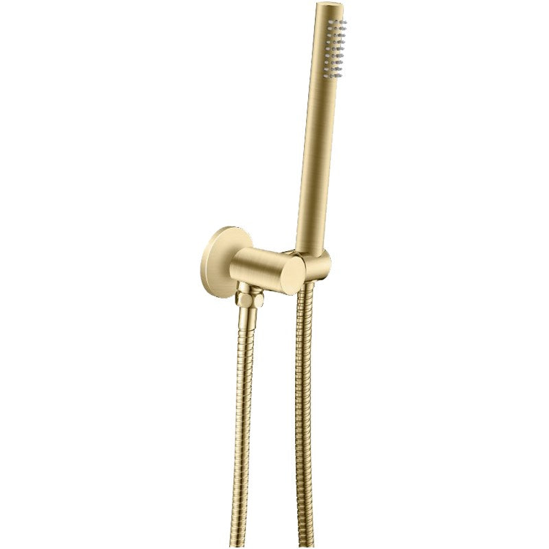 Round Light Brushed Brass Shower Rail with Handheld Shower(Stainless Steel Hose)