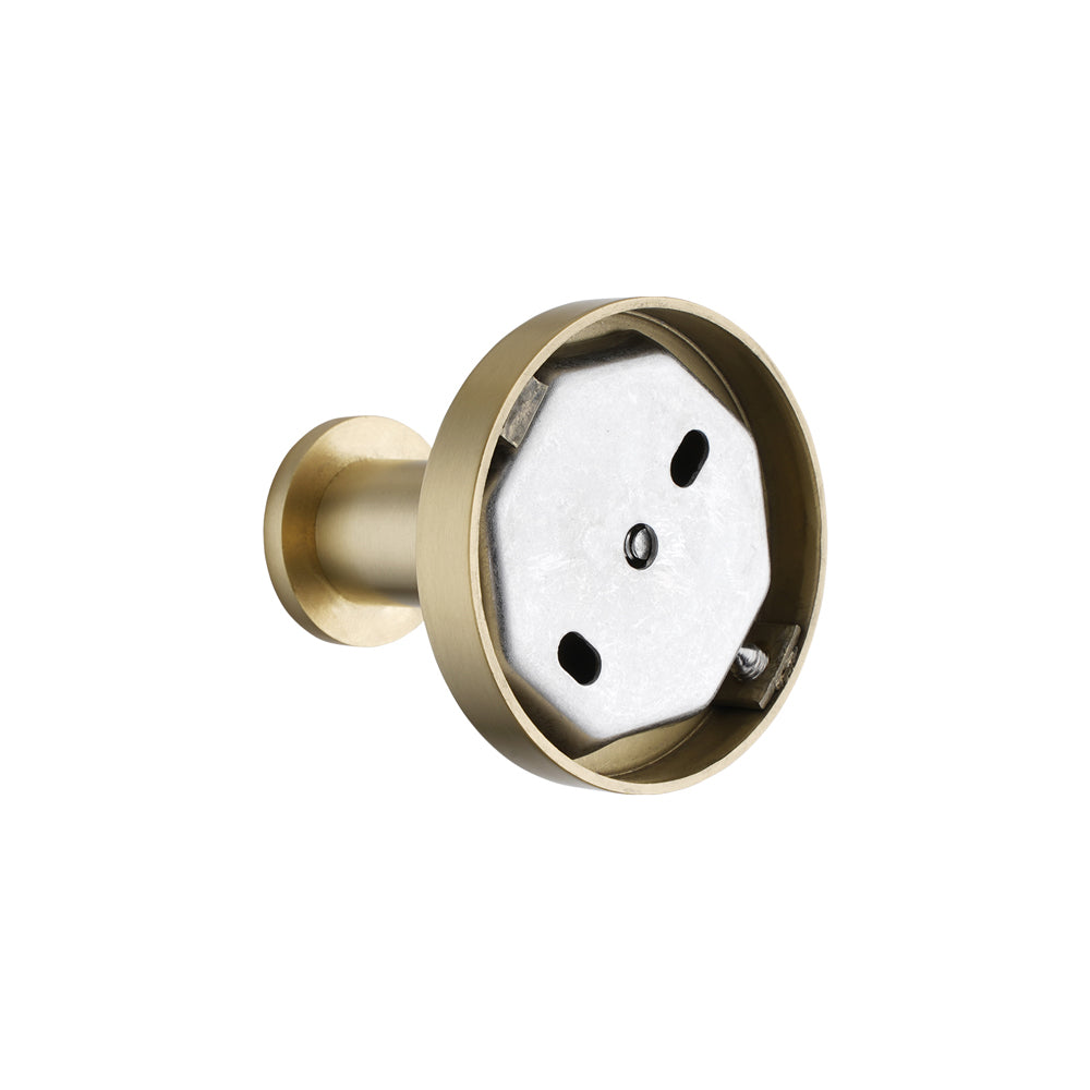 LUCID PIN Series Light Brushed Brass Robe Hook