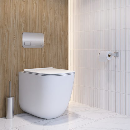 Single Toilet Roll Holder SS